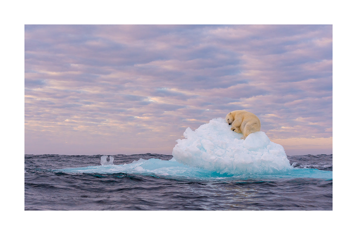 Treasure on Ice